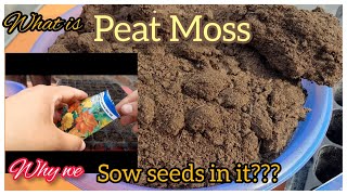 Peat Moss  best seeds sowing media excellent method to sow seeds by Cocos Garden [upl. by Ynohtna238]