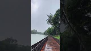 Ramana park in rainy day Dhaka Bangladesh ramana travel sajjadontheway [upl. by Oicneserc]