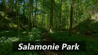 Salamonie State Park Hiking Trails  Largo Indiana [upl. by Zipah497]