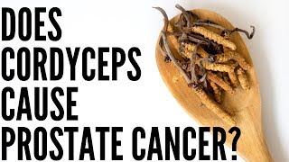 Does Cordyceps Cause Prostate Cancer to Grow [upl. by Cami819]