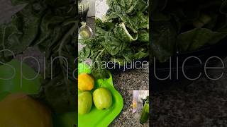 How to make spinach juice South African YouTuber [upl. by Georgeta266]