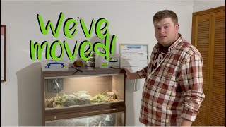 Reptile Room Tour 2024 moving vlog [upl. by Gerard]