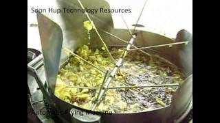 Stainless Steel Auto Frying Machine [upl. by Castra]