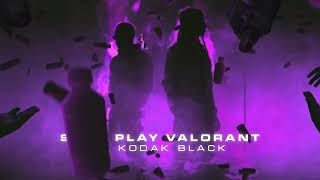 DBlock Europe  Still Play Valorant ft Kodak Black Visualiser [upl. by Eillac]