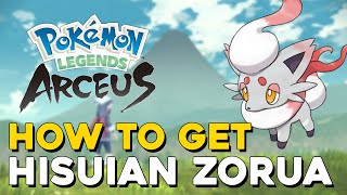 Pokemon Legends Arceus How To Get Hisuian Zorua [upl. by Ayahs]