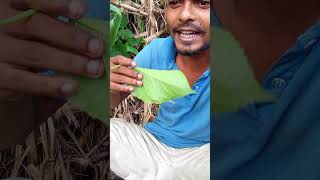 nice fun video comedy না দেখলে মিস করবা [upl. by Audres357]