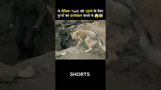 This is how soldiers used dogs in war shorts shortvideo [upl. by Ynatsyd]