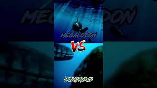 Megalodon Vs Mosasaurus [upl. by Roswald]