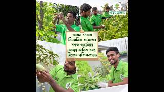 এখন আরো স্বল্পমূল্যে সমগ্র ঢাকায় বাগানসেবা [upl. by Plerre]