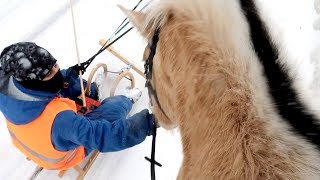 SCHLITTEN FAHREN AUSRITT I PFERDE SPIND ERWEITERN I STALL FMA I MEIN PFERD MAG DAS WETTER NICHT [upl. by Grobe691]