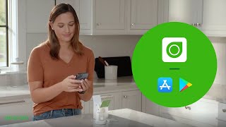 Dexcom G7 App  How to Get Started and Set Up the Dexcom G7 App [upl. by Emmott506]