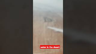 Desert 🏝️dubai bahrain travel shorts trendingshorts viralshort viralvideo music fly [upl. by Juna]