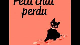 Le Petit Chat Perdu Histoire [upl. by Ocker]