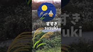 Parola giapponese quotsusukiquot  video dal fiume di Uji [upl. by Icats853]