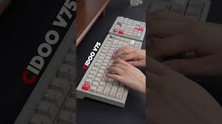 Cidoo V75 ampV33 keyboardbuild keebs type asmrsounds mechanicalkeyboard cidoo [upl. by Carlynn]