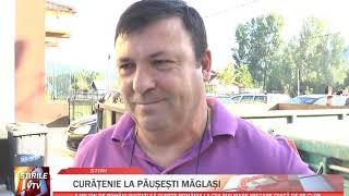 CURATENIE LA PAUSESTI MAGLASI [upl. by Irek385]