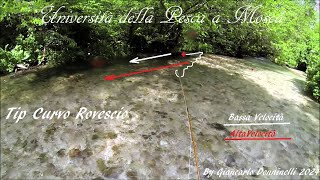 UNIVERSITA DELLA PESCA A MOSCA NINFA CLASSICA TIP CURVO ROVESCIO By Giancarlo Donninelli Y [upl. by Talbert]