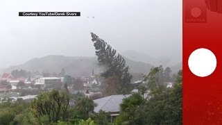 Vidéo amateur  des vents violents déracinent un arbre géant en NouvelleZélande [upl. by Gersham]