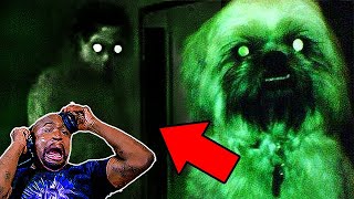 TOP 20 SCARIEST Ghost Videos Of The YEAR 2023 [upl. by Lilah322]