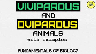 Viviparous amp Oviparous Animals [upl. by Bloom717]