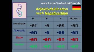 Deutsch lernen Adjektivdeklination nach Negativartikel kein [upl. by Aroc366]