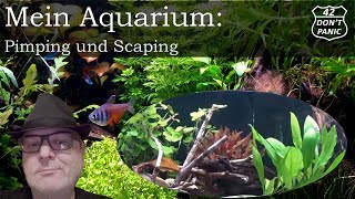 Pimping und Scaping  Mein Aquarium 11 [upl. by Alburg]