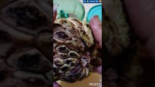 How to deseed sitaphal easily ytshorts custard appleshort [upl. by Bancroft]