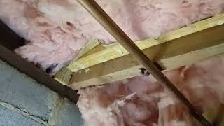 Joist repair trick structuralinspection homeinspections realestate [upl. by Laden863]