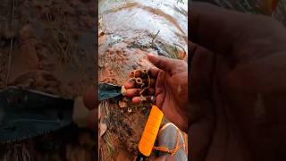 metal detecting😁 shorts goldmurshi kerala malayalam metaldetecing treasurehunting india [upl. by Sreip842]