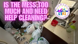 LizMarie Cleaning Services Chicago Home Cleaning Heavy Duty Cleaning [upl. by Boiney915]