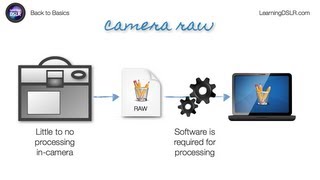 EP05 RAW vs JPEG  Back to Basics by Learning DSLR [upl. by Tama60]