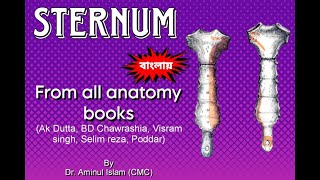 Sternum Anatomy Bangla  Parts Attachment Relation [upl. by Rexfourd]