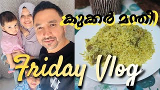 Friday Vlog  Lifestyle Vlog  Abudhabi  Easy Cooker Mandi RecipeA State of flavours [upl. by Coster]