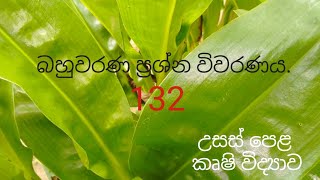 MCQ 132  Agricultural Science for Advance Level Examination Sinhala medium [upl. by Siocnarf]