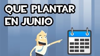 Que SEMBRAR y PLANTAR en JUNIO  Calendario de Siembra [upl. by Nolos]