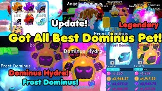 Update Got Best Dominus Legendary Pets New Island Got All Dominus Pets  Bubble Gum Simulator [upl. by Savory109]