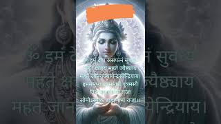 Yajurved chandrama chamatkari Mantra yajurveda jyotish drvedicastro beats music chill tense [upl. by Charlie]