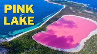 Australia Bright Pink Hillier Lake [upl. by Adalia398]