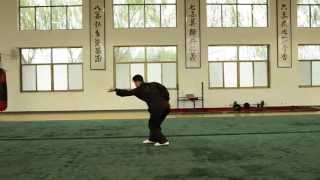 dan da  wushi kaimen bajiquan  by xiao hui [upl. by Aivatnuahs]