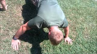 Official Marine Corps Pushups [upl. by Lurline609]