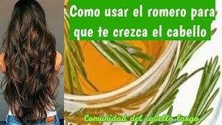 🍀💆‍♀Cómo hacer crecer el cabello muy rápido con romero 100 eficaz [upl. by Narmis221]