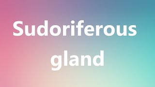 Sudoriferous gland  Medical Definition and Pronunciation [upl. by Farland410]