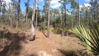 Ocala National Forest Clearwater Rec Area Bike Trail [upl. by Ojeillib]