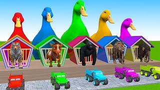 5 Giant Duck Cartoon Cow Elephant Gorilla Zebra Monkey Transfiguration funny animal 2023 [upl. by Huskamp]