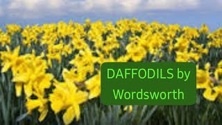 DAFFODILS by William Wordsworth text in urdu with explanation [upl. by Ahsinid]