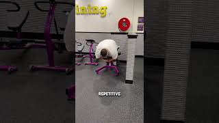 Day 58  Body Transformation fitness gym transformation consistency [upl. by Hamnet]