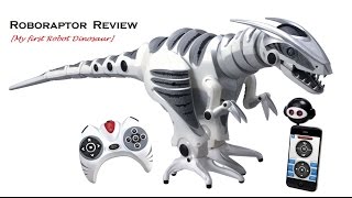 Review of my 32 inch Dinosaur Robot  WowWee Roboraptor [upl. by Krock]