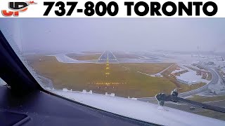 Piloting Boeing 737 into Toronto with Snow amp Icing  Cockpit Views [upl. by Zachariah275]