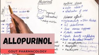 Allopurinol  Mechanism of action Uses Adverse effects Interactions in detail UrduHindi [upl. by Corney]