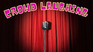 Crowd Laughing Sound Effects  Comedy Club Laughter [upl. by Alic]